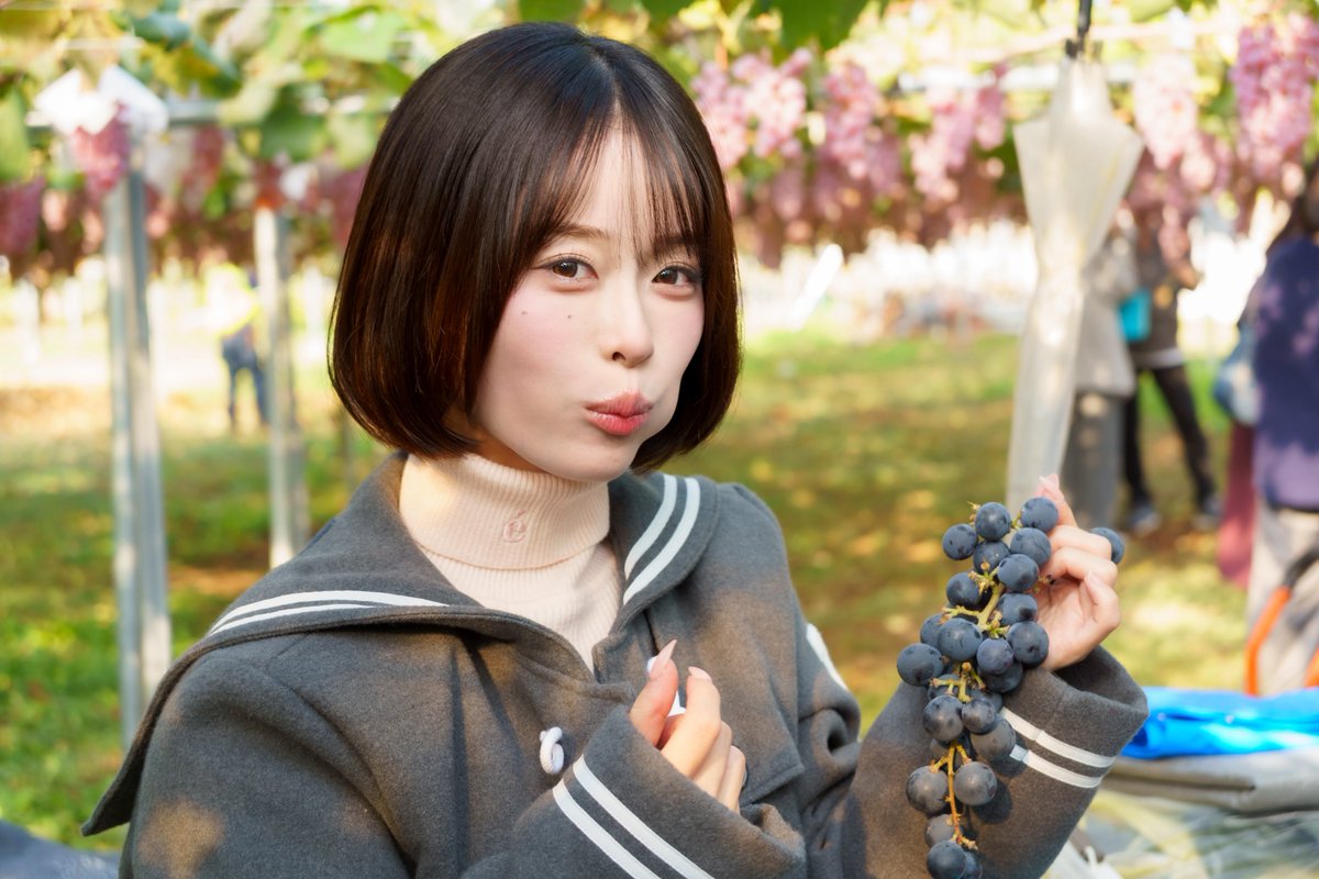 すももになります。 on X