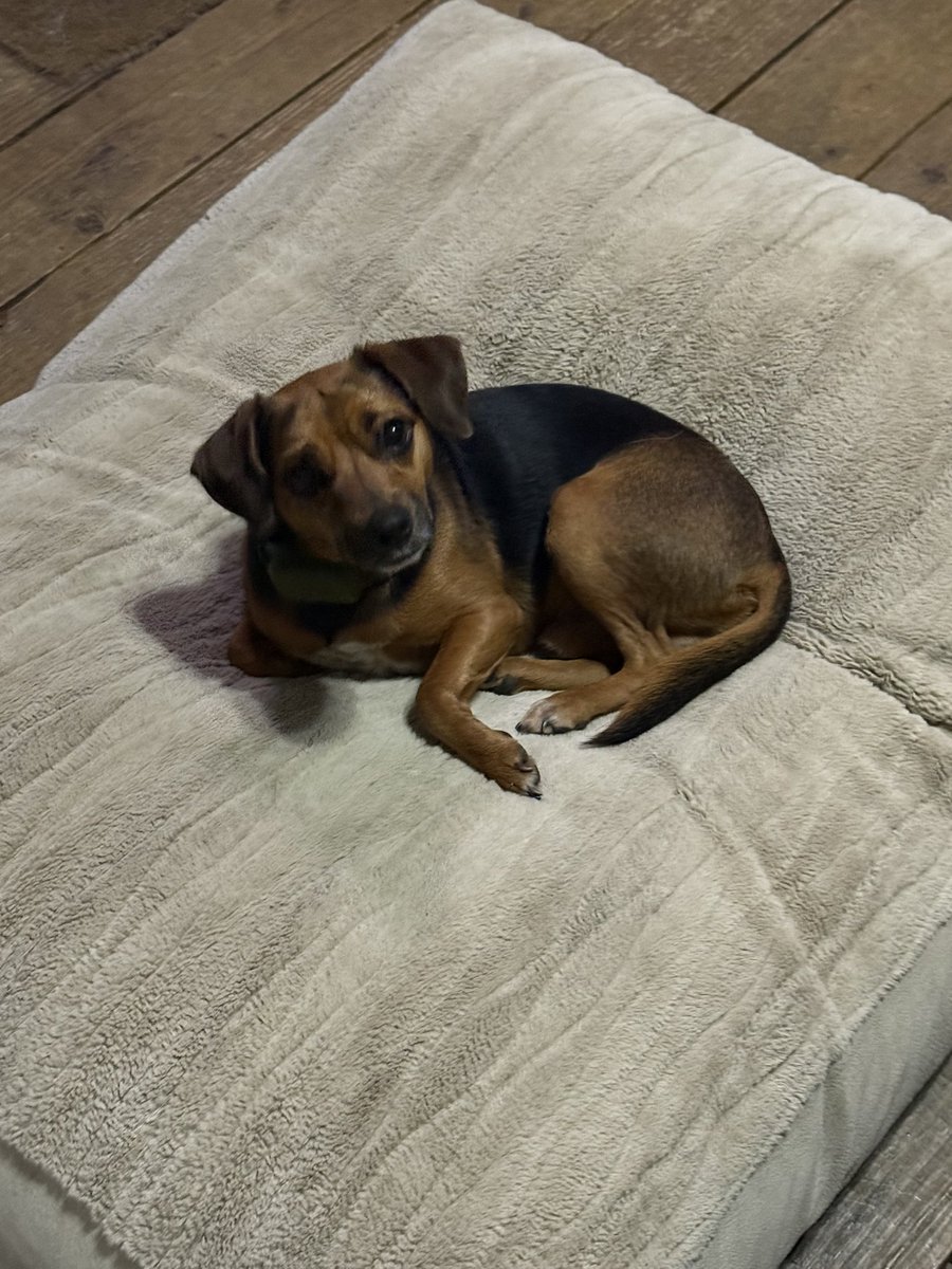 Lake life. Last weekend before the water gets shut off.