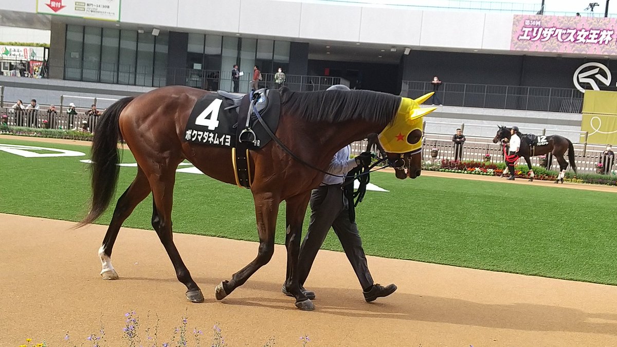 shio shioタグ shio shioタグ 🔥TOKYO STORE 9/6（Sat）12:00-🔥 【Bone Henry