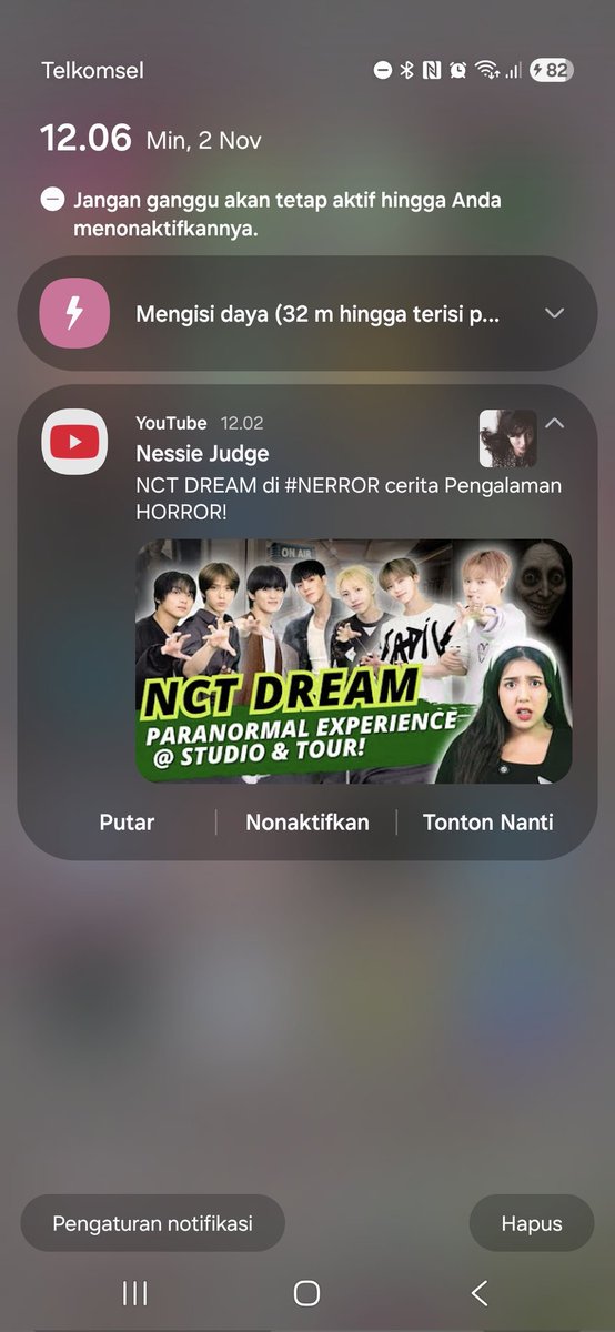 heionasy's tweet image. AAAAA FINALLY DREAMIES DI NERROR🥹😭💚🫶🏻✨️ @nessiejudge