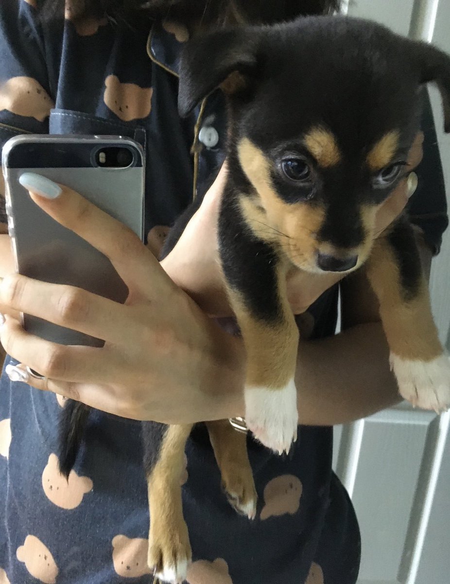 대박인 사진을 찾음