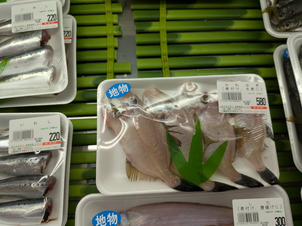 たかちゃん たか さん タカちゃん たかちゃん SUPER73 ZX GLITCH TOKYO