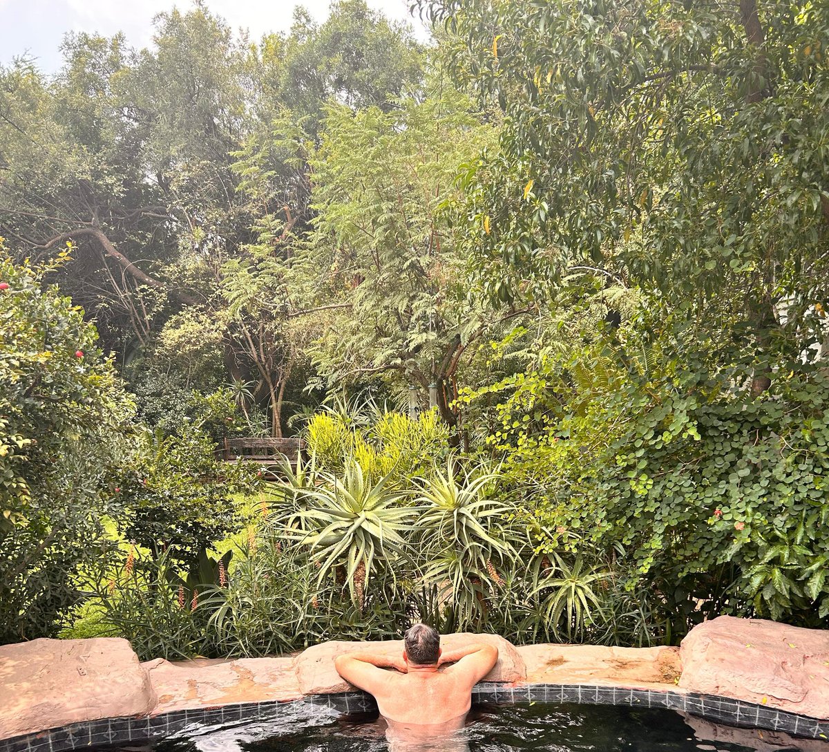 bruceybld's tweet image. Good Morning and Happy Sunday! #WeekendVibes #summerlove #SummerVibes