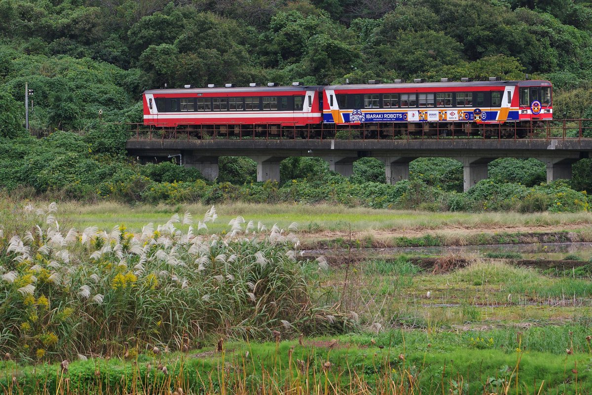 赤犬 iQunix x 星の王子さま ZX75 メカニカルキーボード 有線 無線 US