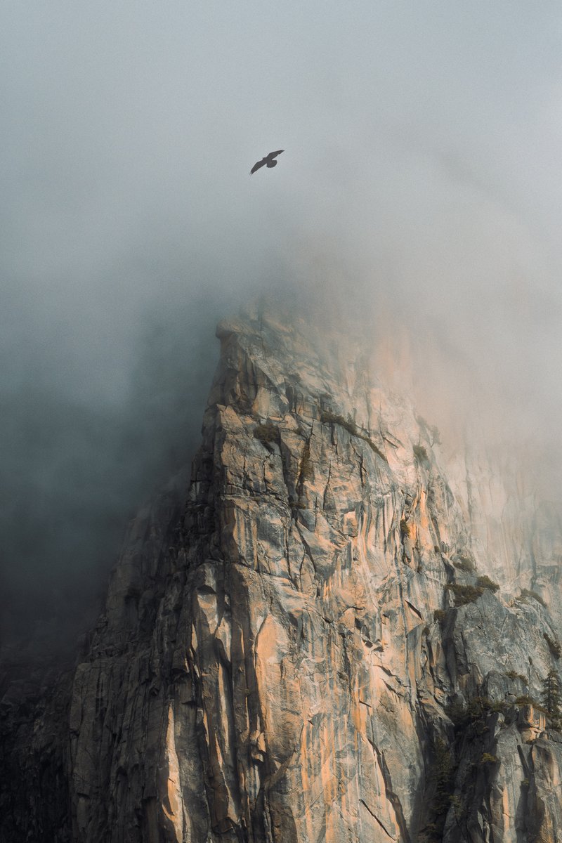 Soaring Over El Cap