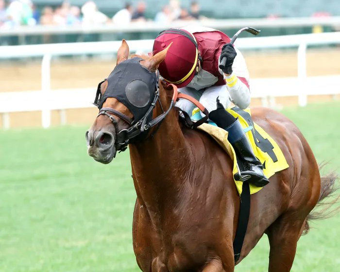 さくらの時(色鉛筆画) サクラ 色鉛筆画 (@Yb5fek2cz787923) / Posts / X