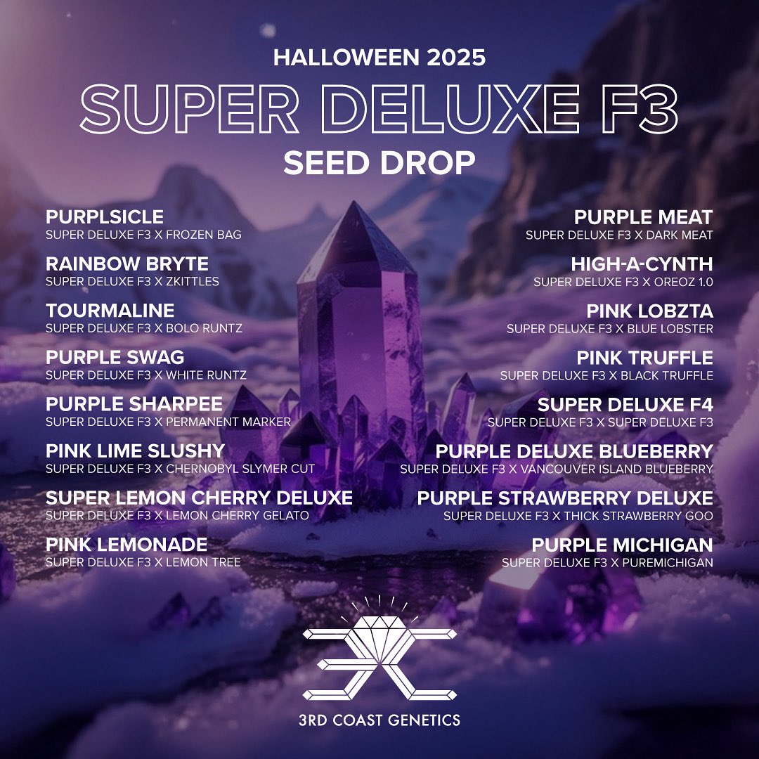 seedbankinternational.com