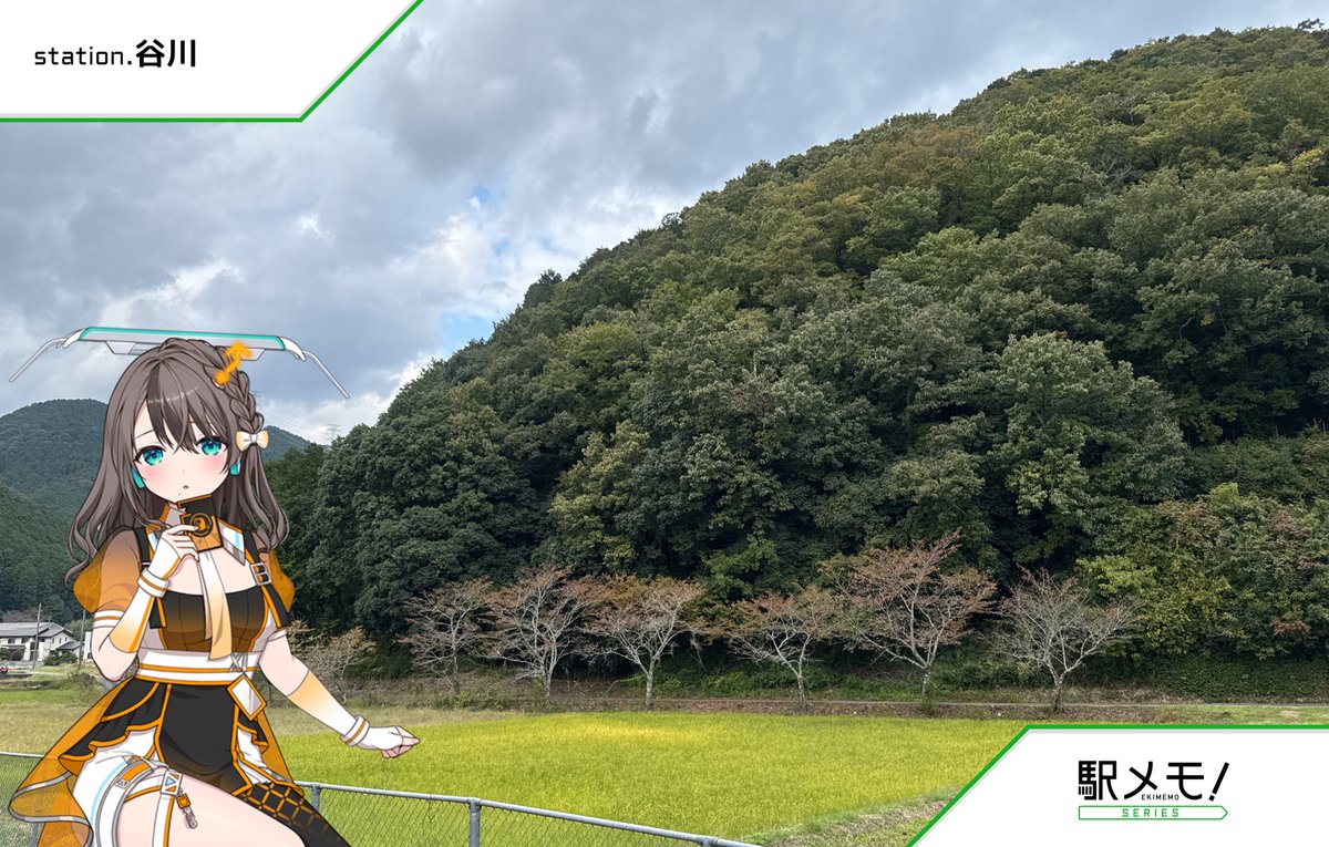 Rakutao公式アカウント01　ヨンジュン ゆーき🐟ζ(〃`・ ꇴ ^´〃)ζ on X