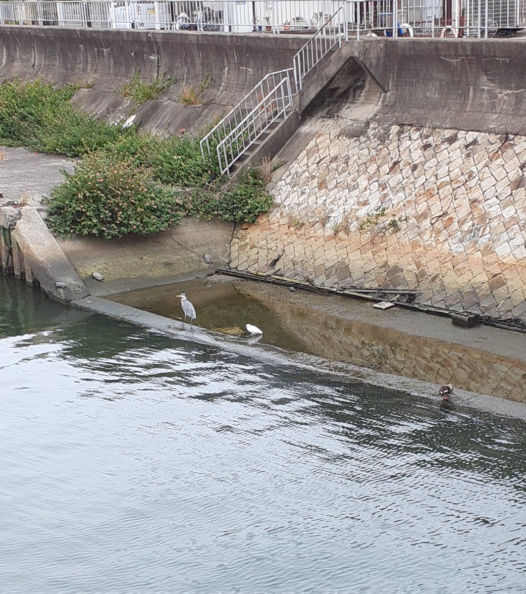 サッカー大好き サッカー大好き(=ﾟωﾟ=) on X