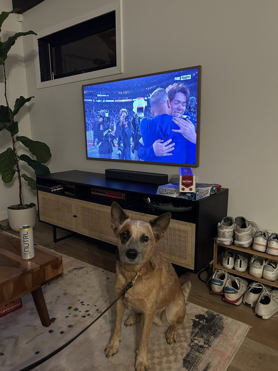 Peter Verdell tweet media