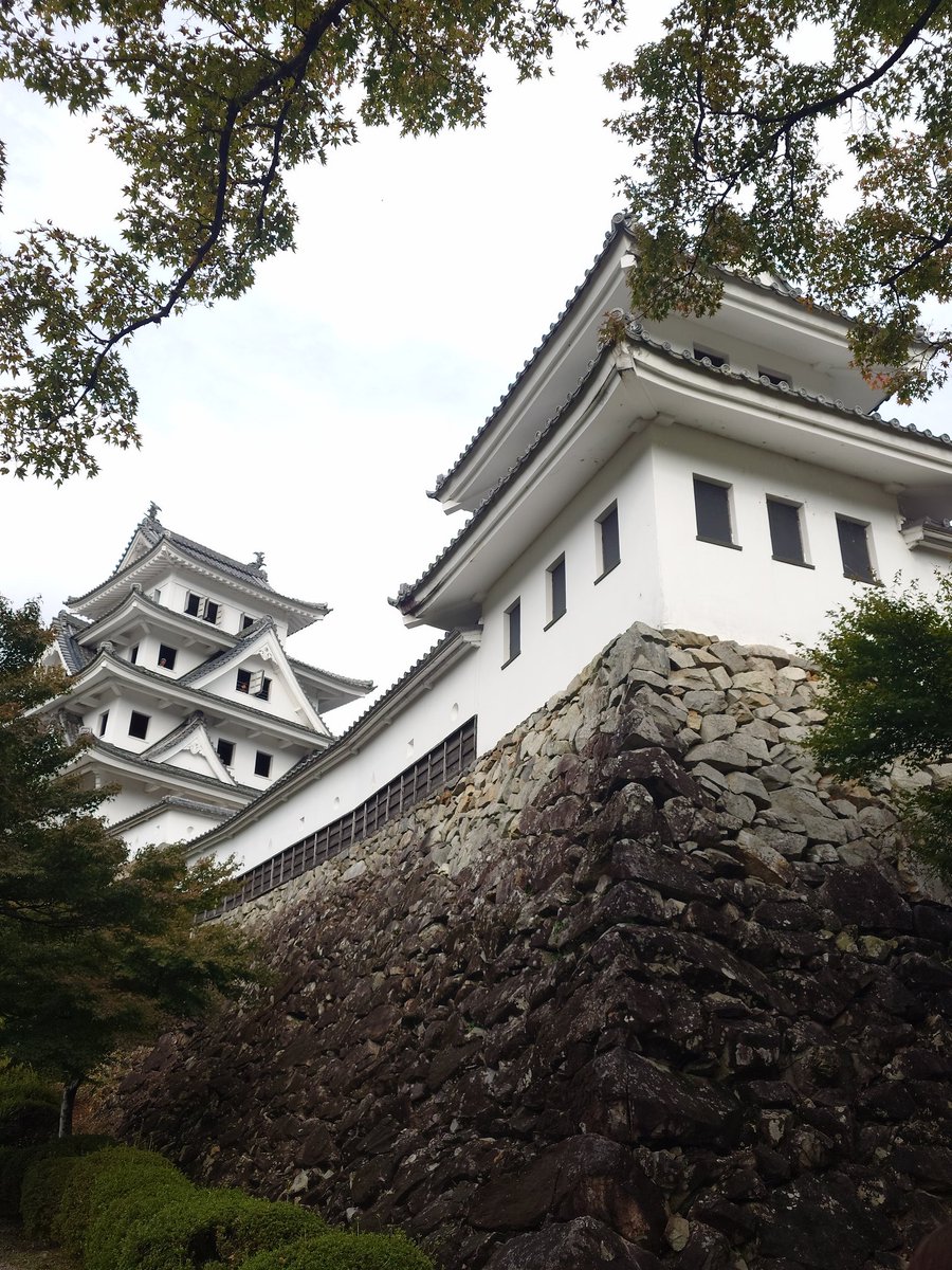 xmos_sunx's tweet photo. まだ青みが多い感じ https://t.co/RYdfxmglms