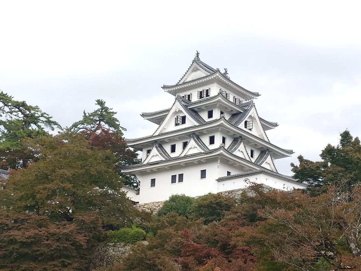 xmos_sunx's tweet photo. まだ青みが多い感じ https://t.co/RYdfxmglms