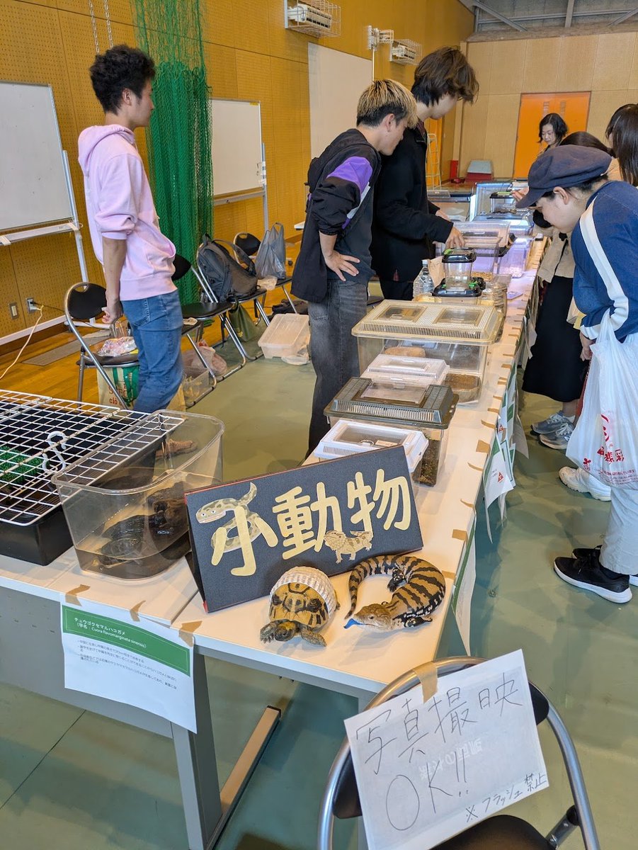 ftsumori's tweet photo. 九大祭の生物研究部の展示．標本だけでなく部員の飼育しているものや近場で採取した生体も展示してたり楽しいです．好きな生物を語ってくれるのも一緒にワクワクできて満足．今年はウズムシ好きの学生さんが印象に残りました． https://t.co/mCpVqFdAQo