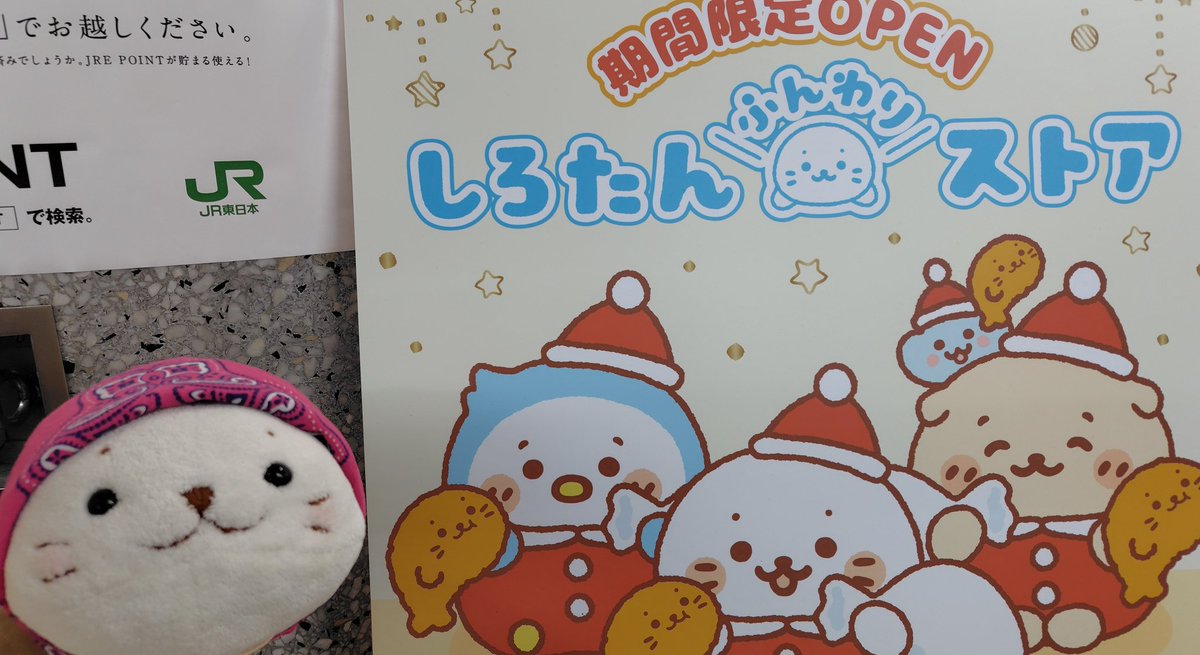 行ってきました！２回目！！
クリアファイル入荷してました(о´ω`о)
コンビニシリーズ全種あります(*´ω`*)
缶バッジもまだありました(=´ω`=)
#しろたん #池袋