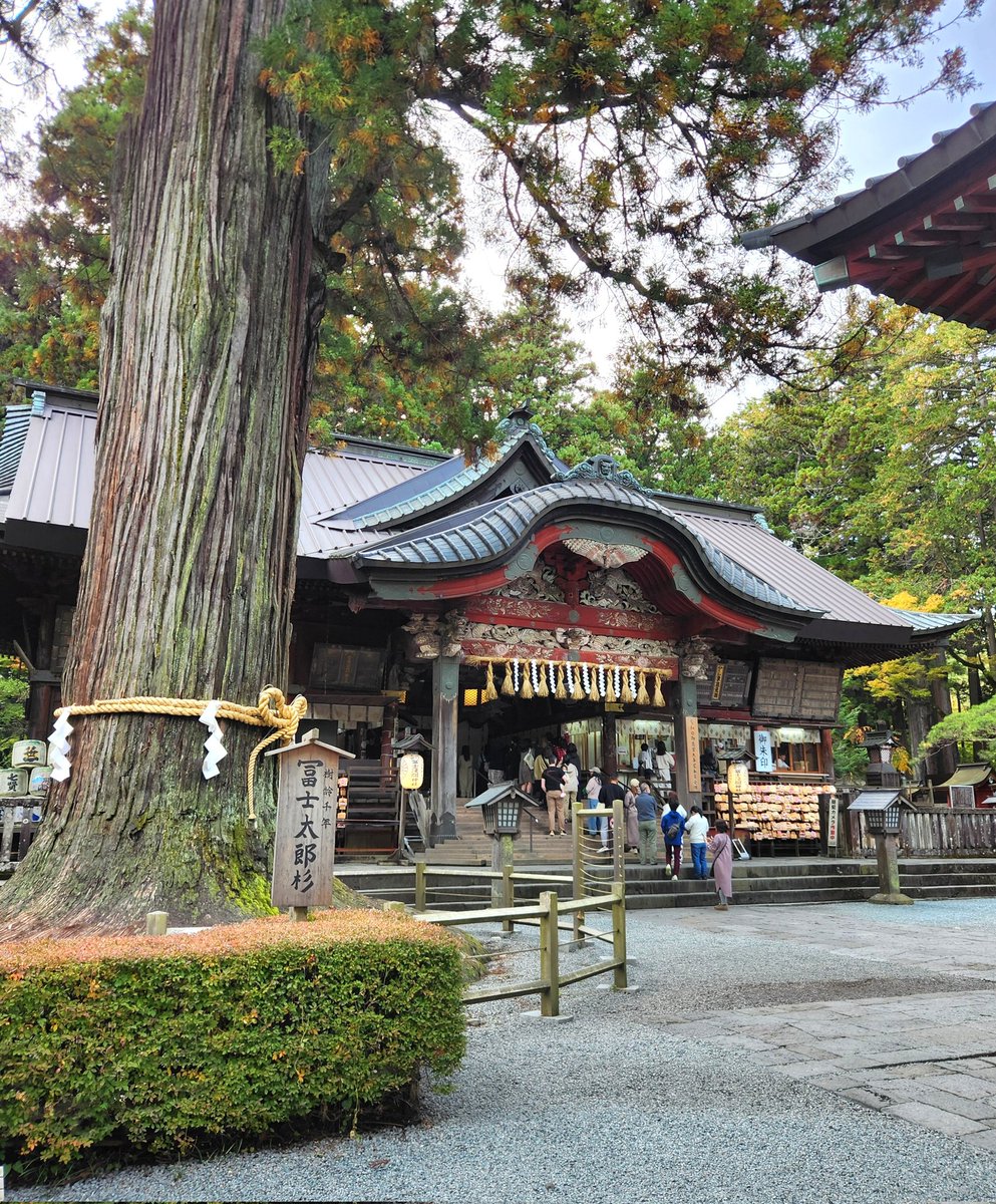 額【富士】 額【富士】