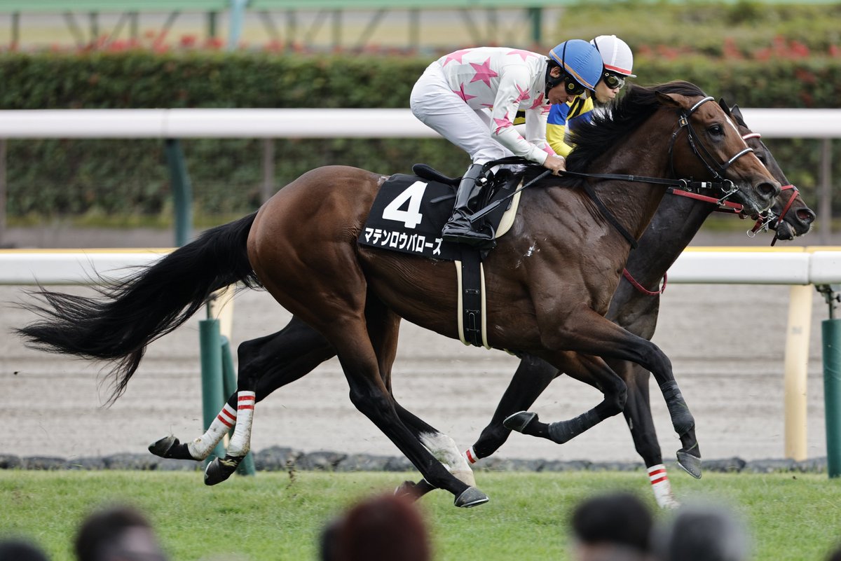 Blackpool FC Tie 希少 Blackpool FC Tie 希少 Blackpool FC Tie 希少 Blackpool FC