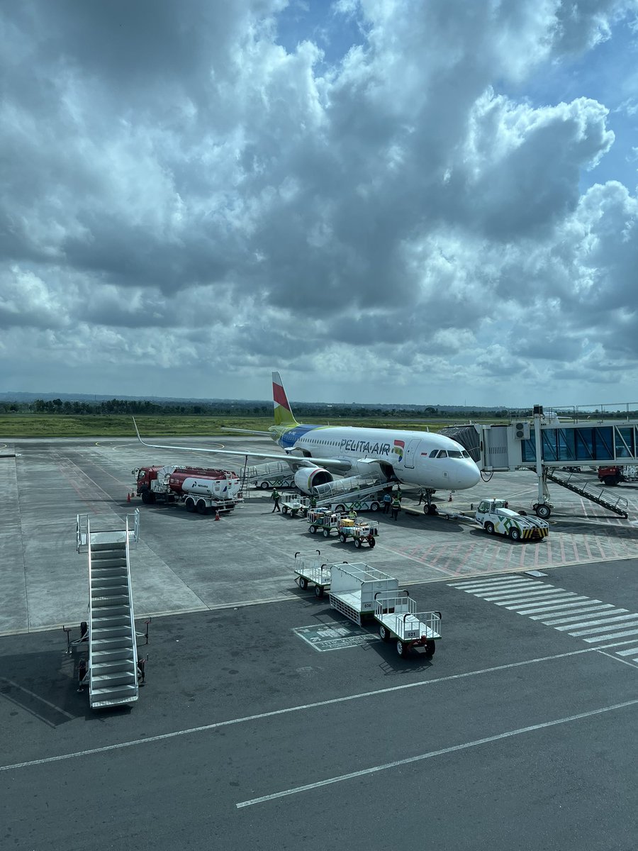 catch lupis not feelings