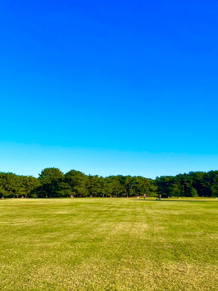 #ドジャース優勝🎉
おめでとうございます‼️

めちゃくちゃ良い試合✨
目が離せなかったね
打つ！投げる！捕る！
最高レベルのせめぎ合い

どんなに努力したのか
あの笑顔 輝いてたね🥹

私も元4番サード(ちびっこソフトボールね🤣)だったから
青空に人生のホームランかっとばすぞ
手術がんばるよー‼️