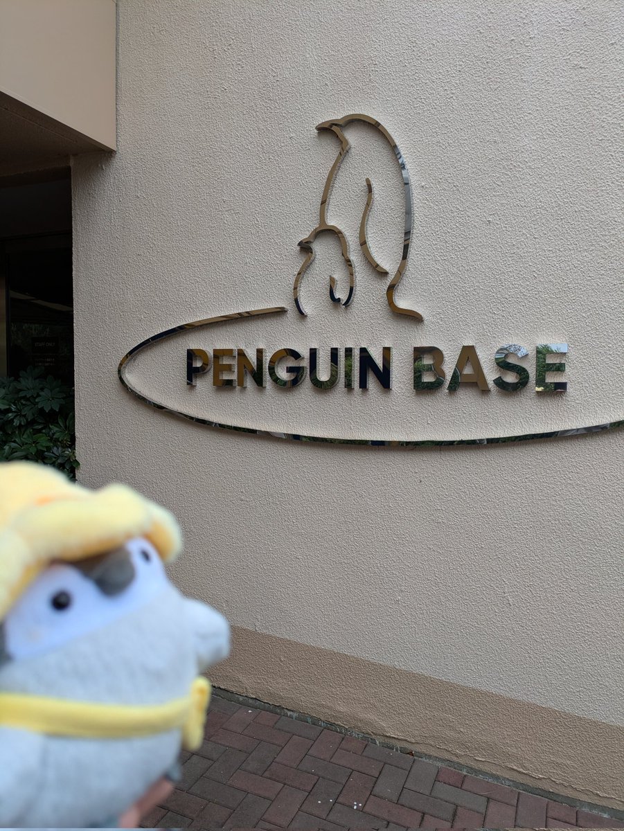 Tonoji's tweet photo. コウテイペンギンの赤ちゃん見に和歌山へ。10週位したけれどカメラ欲しくなる https://t.co/jeiqCvULmV
