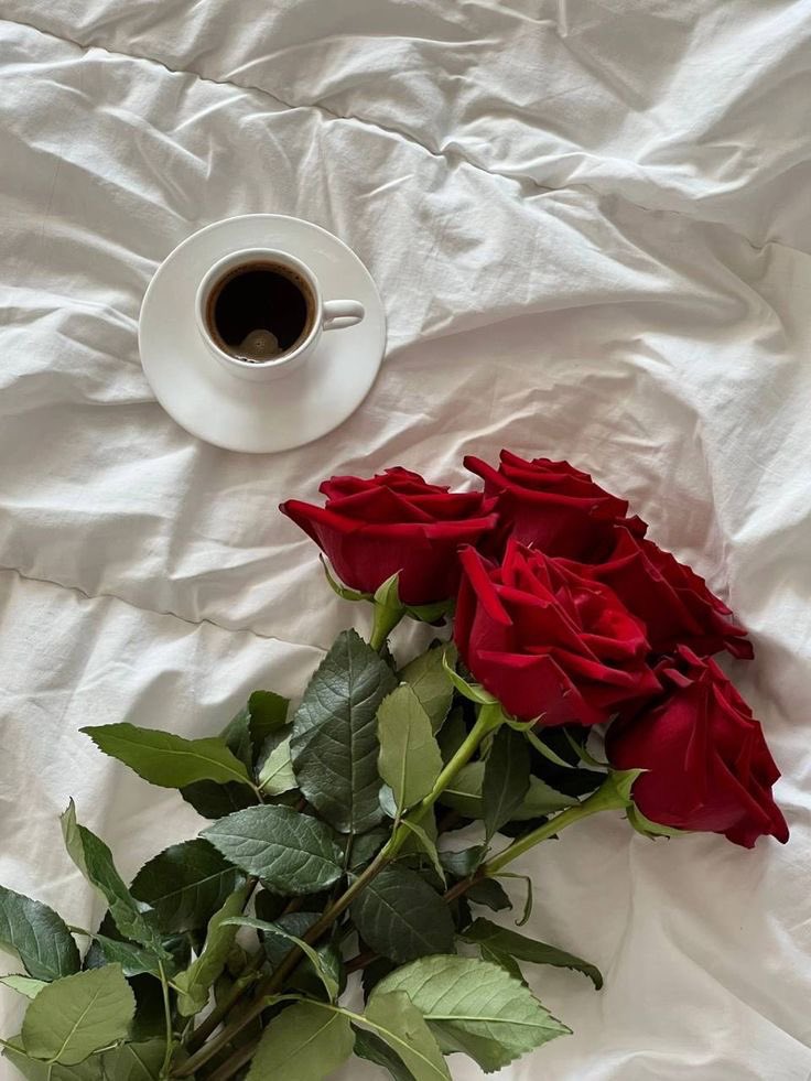 Good morning  …

♥️