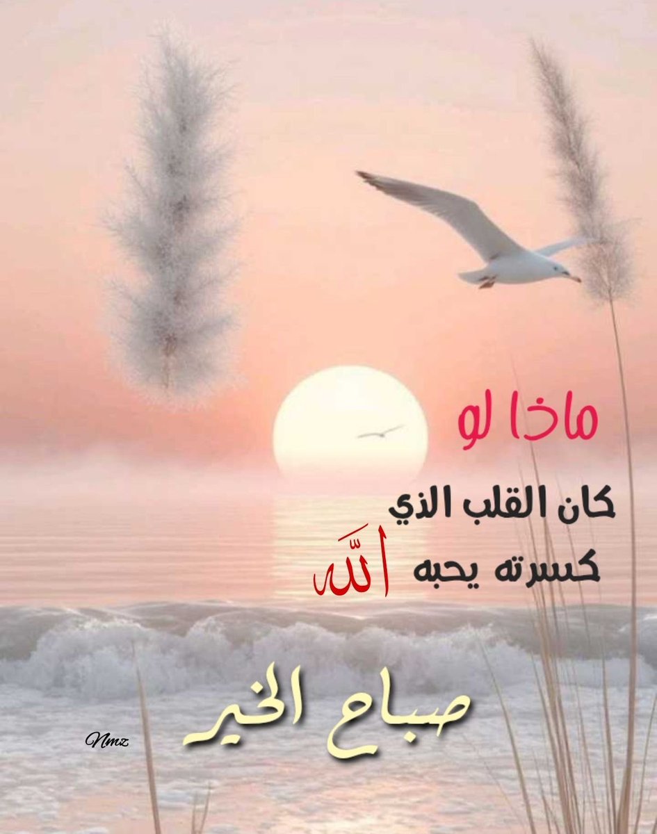 ❤️ القلوب أحياناً محتاجة قلوب تفهم الحاجة وتدرك جرحها .
والقلوب أحياناً محتاجة تُذَوِّبُ كل غَصة قلب يصعب شرحها.