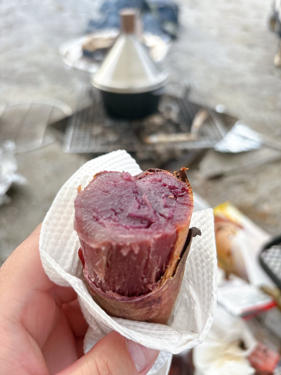 デジバウム👯‍♀️‍️💅✨⚒️🏴‍☠️🌟🚀 (@DigiBaum) / Posts / X