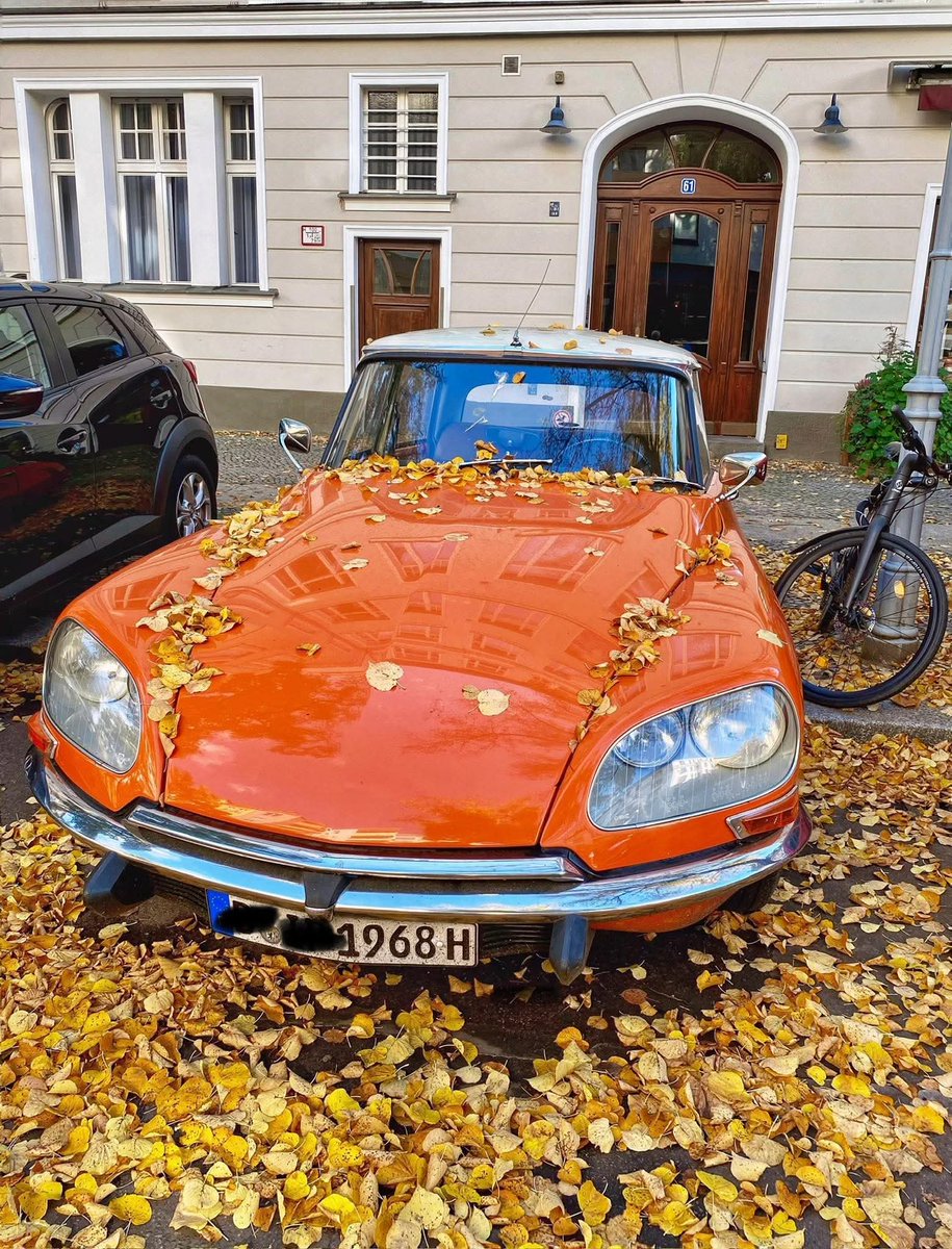 valentina tweet media