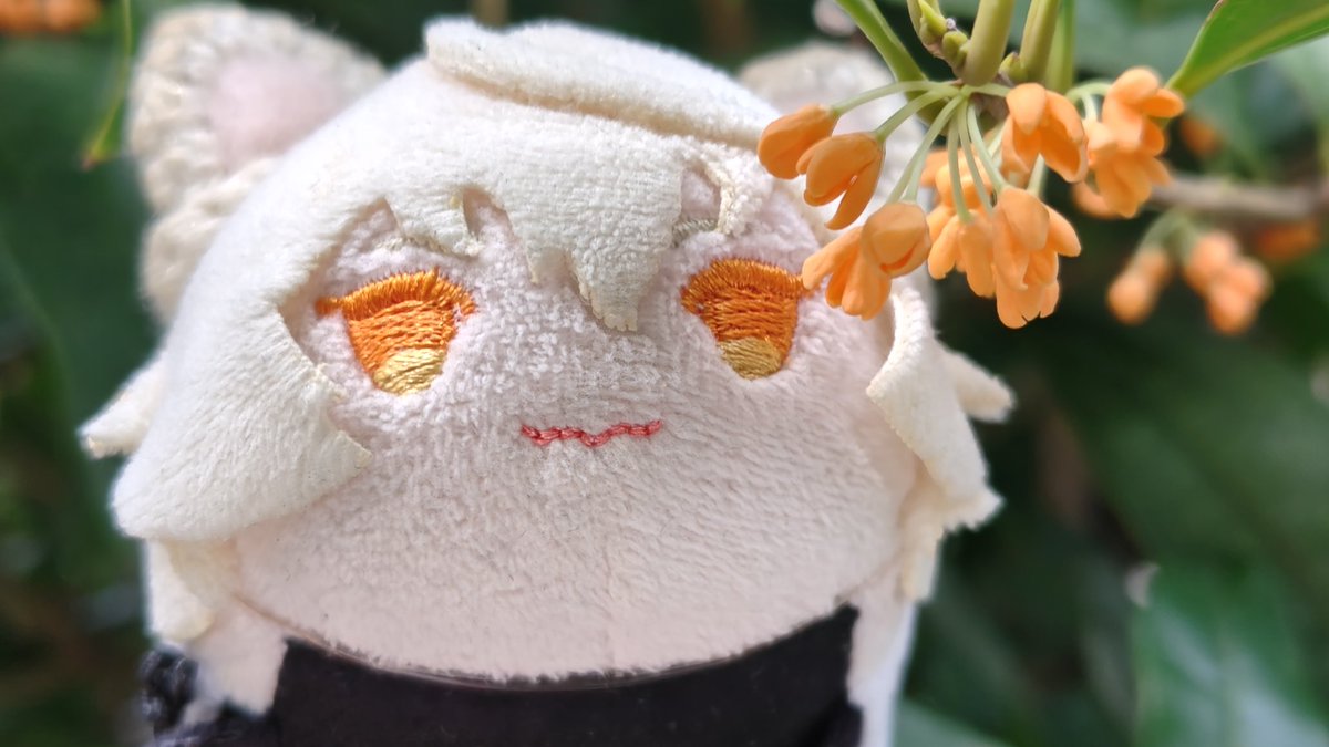 momoka様 11.24 ヨウム レジンヘアゴム 金木犀 🐣ころも🐥 on X