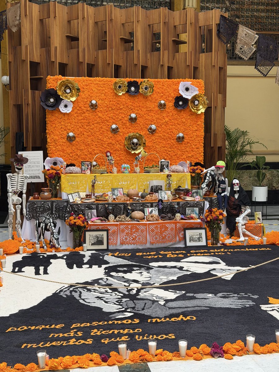 grape_piyo's tweet image. 『死者の日』なので、メキシコに来てます！🇲🇽
アジア人がめちゃ少ない👀
仕事に繋がる新たな気付きを得るぞ🔥
#死者の日　#DíadelosMuertos