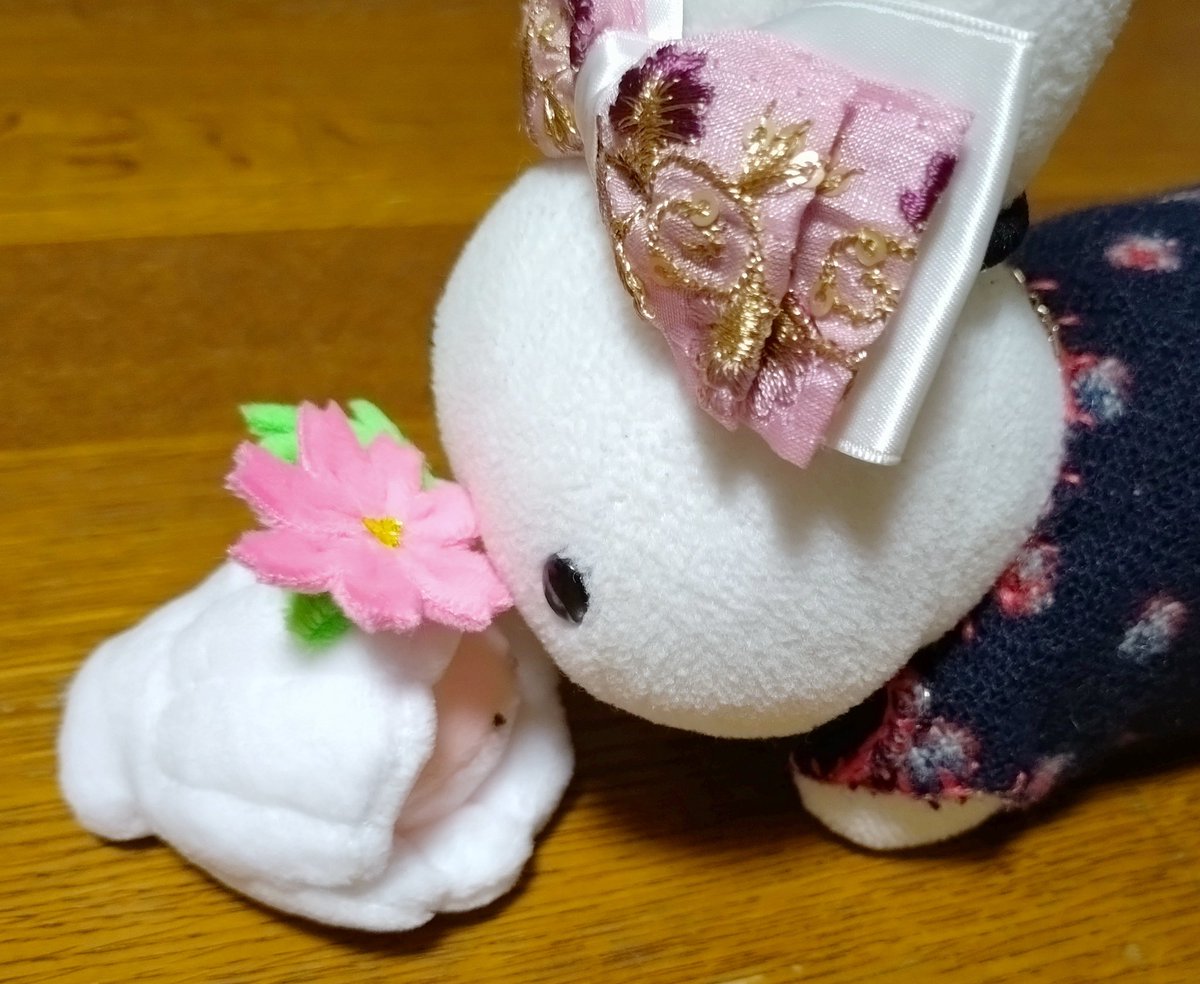 ぬい撮り、ぬいぐるみ旅行!　貴方の大切な可愛い相棒に♬ ぬい撮り、ぬいぐるみ旅行! 貴方の大切な可愛い相棒に♬ ぬい