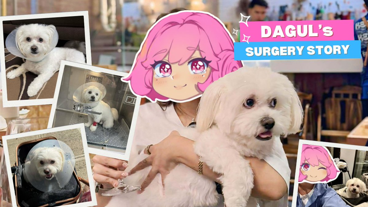 🌺🐾 irL VLOG🐾🌺 sharing my dog’s surgery recovery journey through a mini vlog uploaded on my YouTube channel! pls go check it out 💗

🎥 youtube.com/watch?v=JJihUi…

#meemo #irLvlog #vlog #lifestyle #vlogger #pets #dog