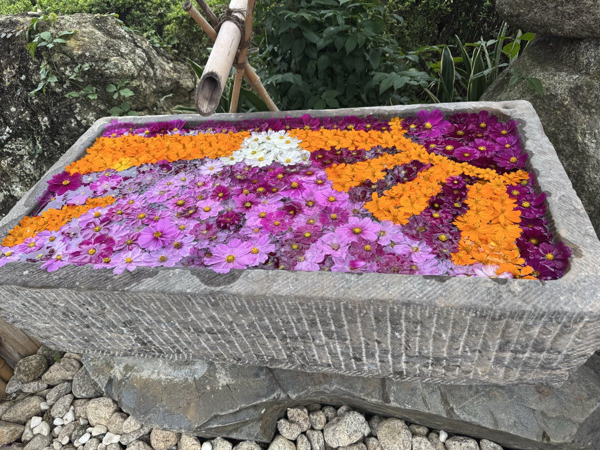 こすも様 40b4f0726c74881116857cb6107033