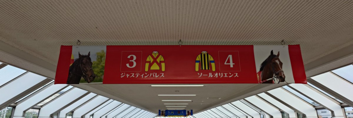 蒼碧 Amazon | ヴァリアブルアクション 新世紀GPXサイバー