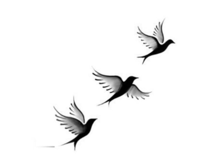 .. 
.. 

. 

 إن العيش في هذه الدنيا
لا يستدعي ربيعًا دائمًا !
فالحياة ستأتيك بكل الفصول
الأربع وأنت مُجير سنتجمد
حياتك لفترة من الوقت
ثم تذيبها الشمس ثم تتساقط
 بعض من أجزائك وستزهر
مرة أخرى🤍.

.

..
..

#رسالة_اليوم