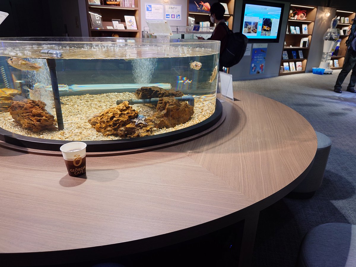 🐧かめねこ🐧 (@kameneko1004) / Posts / X