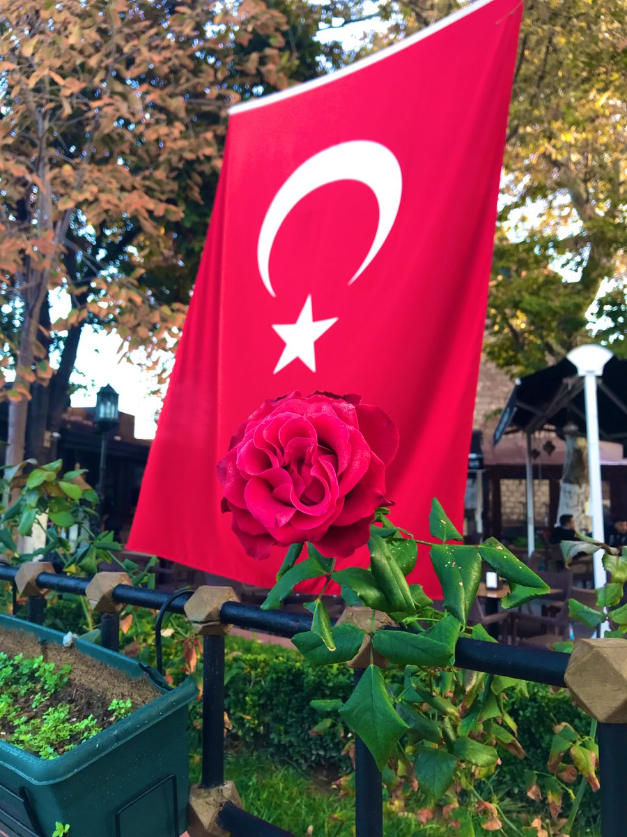 🤝☕️
Değerli Dostlarım.
Sevgili Arkadaşlarını.
Güzel bir güne.🌸☕️🍫
Sevgiye Umuda Huzura..💫
#Günaydın.🌞 
#KeyfliBirPazarGünü.🚲🎻🎼
#GeçirmenizDileğimle.
İşiniz Gücünüz Rast Gelsin.
Güzel Yüreğiniz.🍃💛❤️🍃
Yorgunluk Görmesin.🤲
Her Şey Gönlünüzce Olsun.
Selam Saygı ve