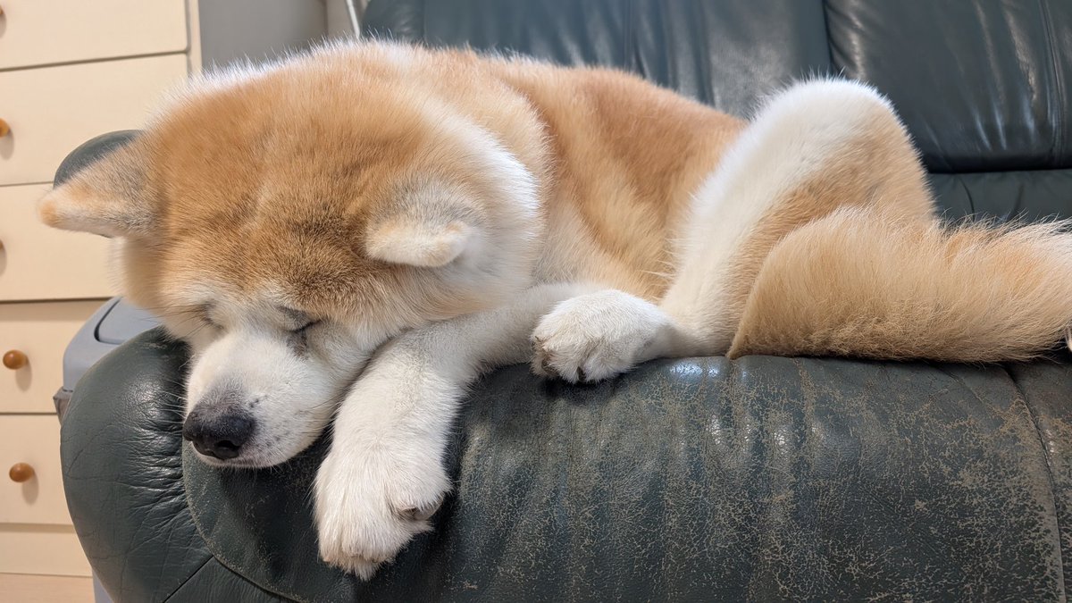 ここ様✳︎専用 NEC TOKIN 電気二重層コンデンサ 5.5V 0.47F 70℃ スーパー