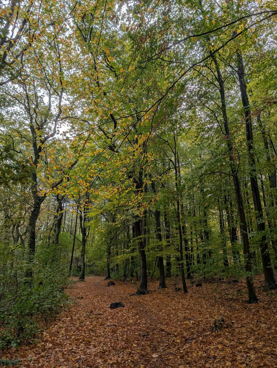 Kritixx's tweet image. 