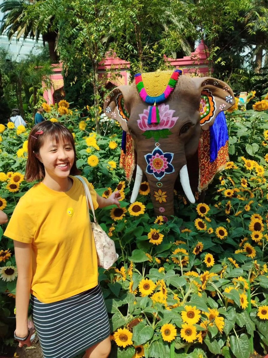 HuiPingFoo1's tweet photo. My Plastic Mannequin Love ❤️ 😍 💖 ❣️ 💕 . My balance. Sunset Blurring 🌇 🌅. 선셋 블러링. 인도 🇮🇳 ✈️ 😂 😍 💕. #gardensbythebaysingapore #plasticmannequinlove #balance #sunsetblurring #선셋블러링 #인도 #foohuiping #huipingfoo #taykewei https://t.co/i3Hk2AOXqK