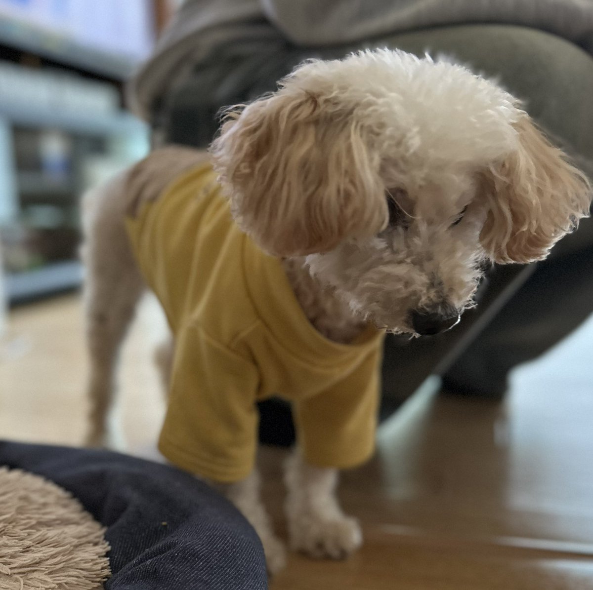 Haru🍥 (@harusyuharu) / Posts / X