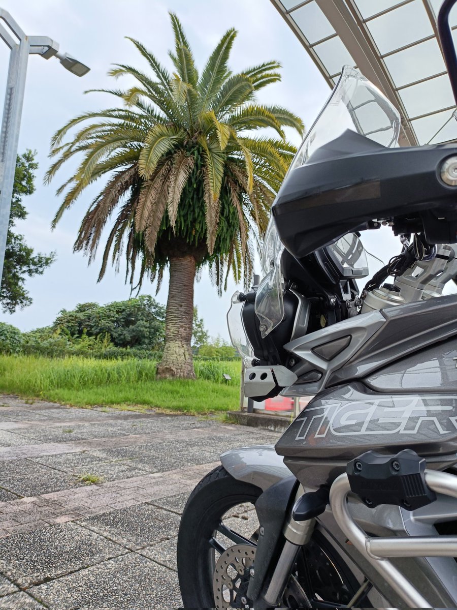 マー坊☀🇬🇧🇩🇪🇮🇹 (@MSR9910) / Posts / X