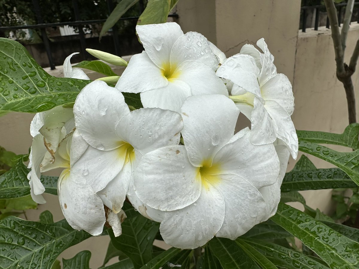 <a href="/DennnyWhere/">Dennis J Hansen</a>