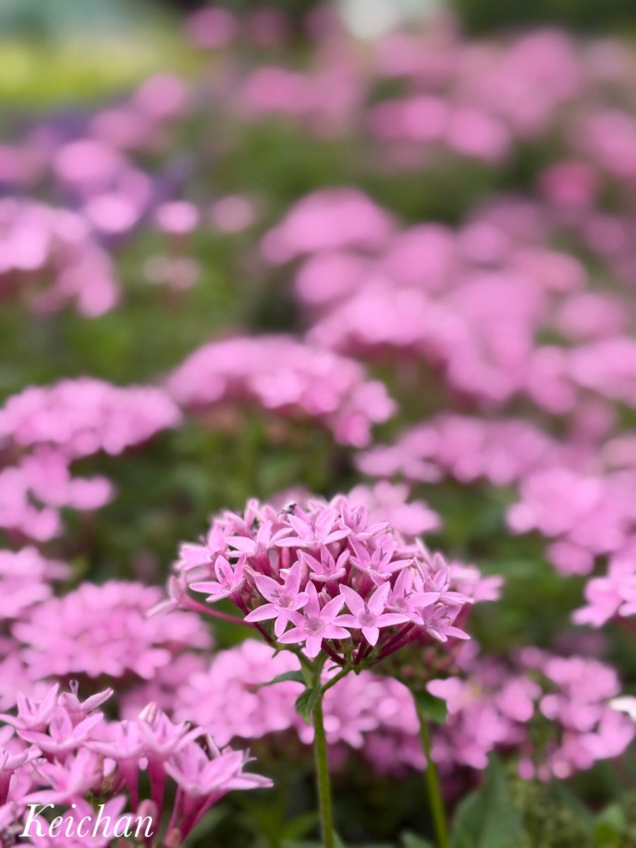 けいちゃんページ けいちゃん on X