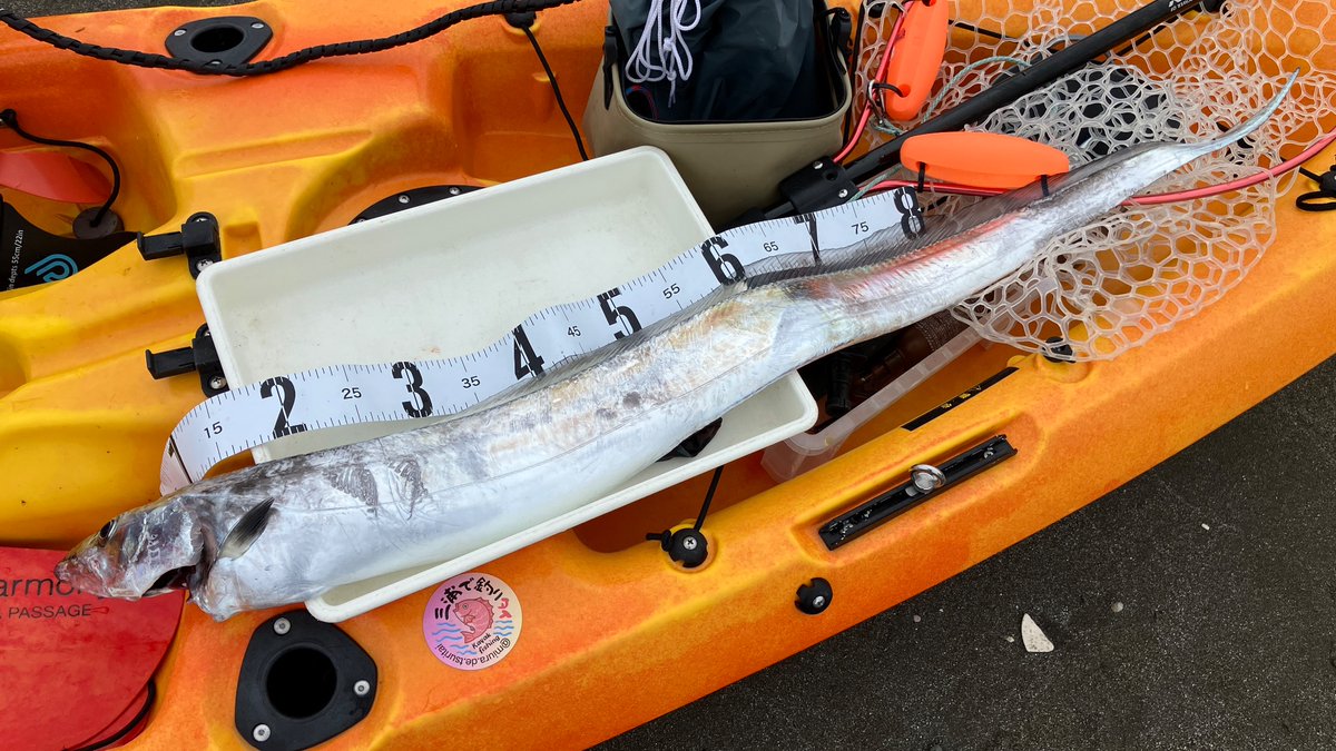 Tahiti様② MC-KYOZAKURA II WSE'24/E | Deviser ｜株式会社ディバイザー