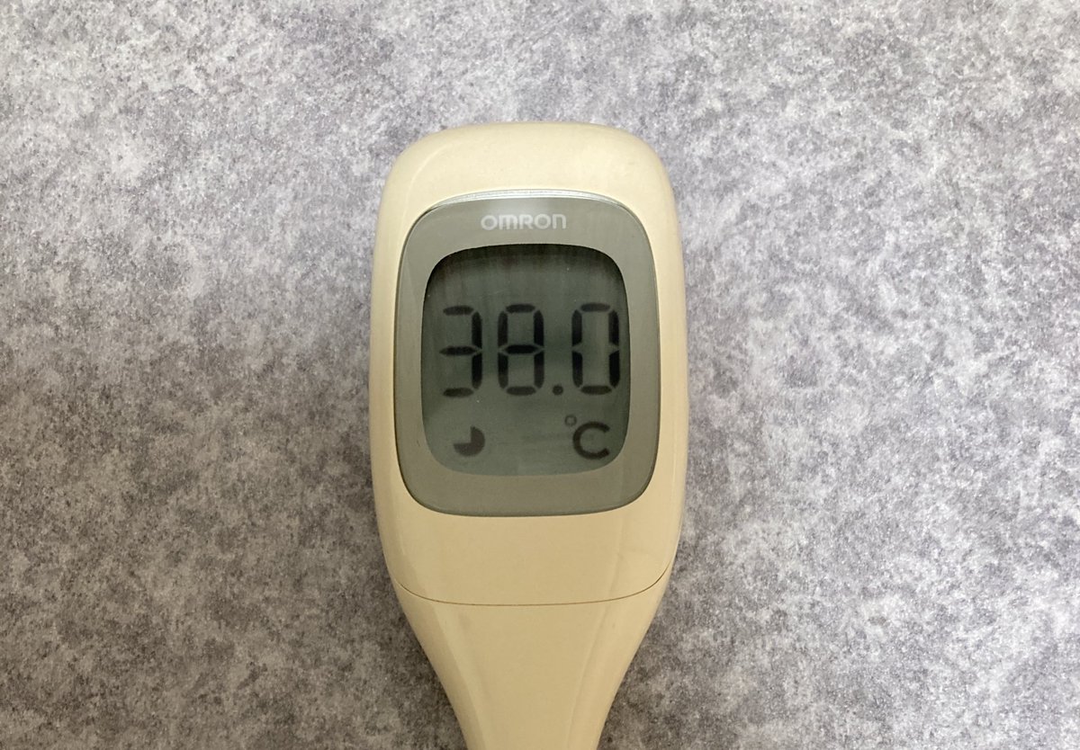 anji1233⭐︎8/7〜25発送不可 ねこさん⚡(ΦωΦ) (@catnap707) / Posts / X