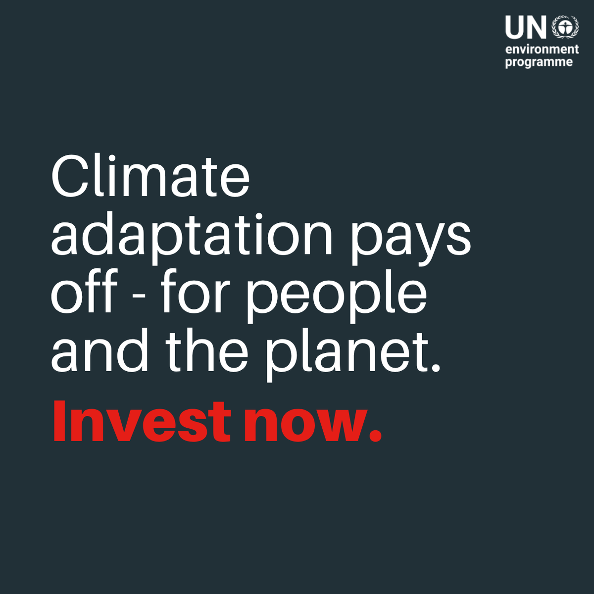 UN Environment Programme tweet media