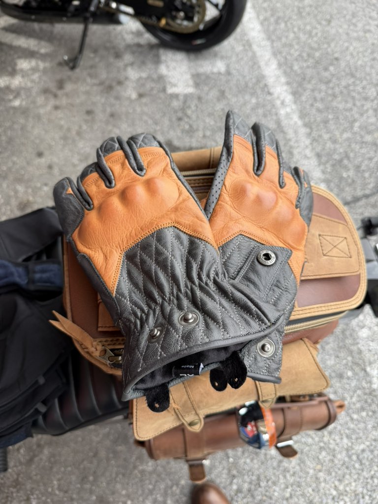 グローブ新調した
デグナーだらけだ