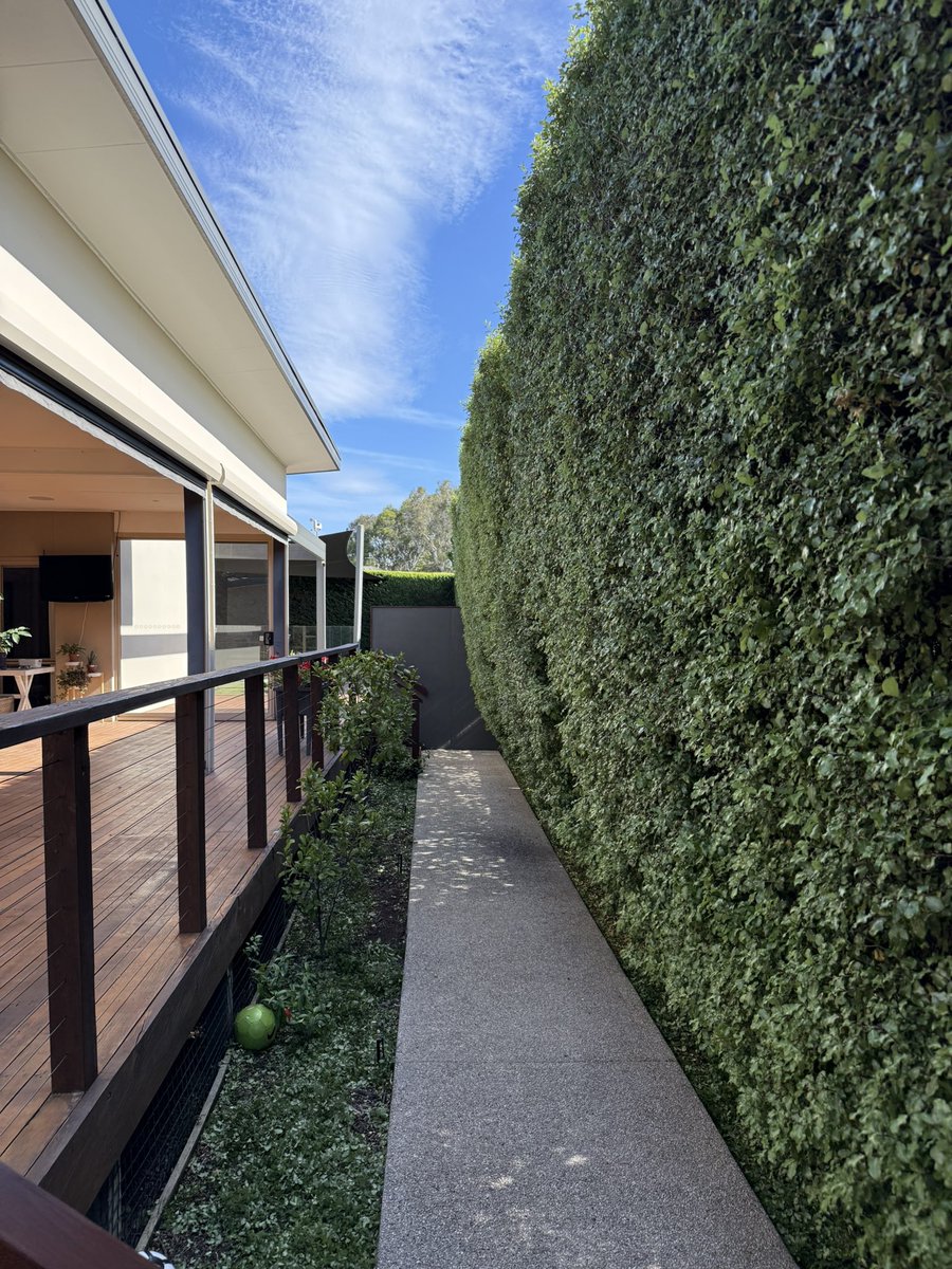 BlueModelY's tweet image. این هم از این طرف. دیگه در شرف تسلیم جان به جان‌آفرین هستم 🤕