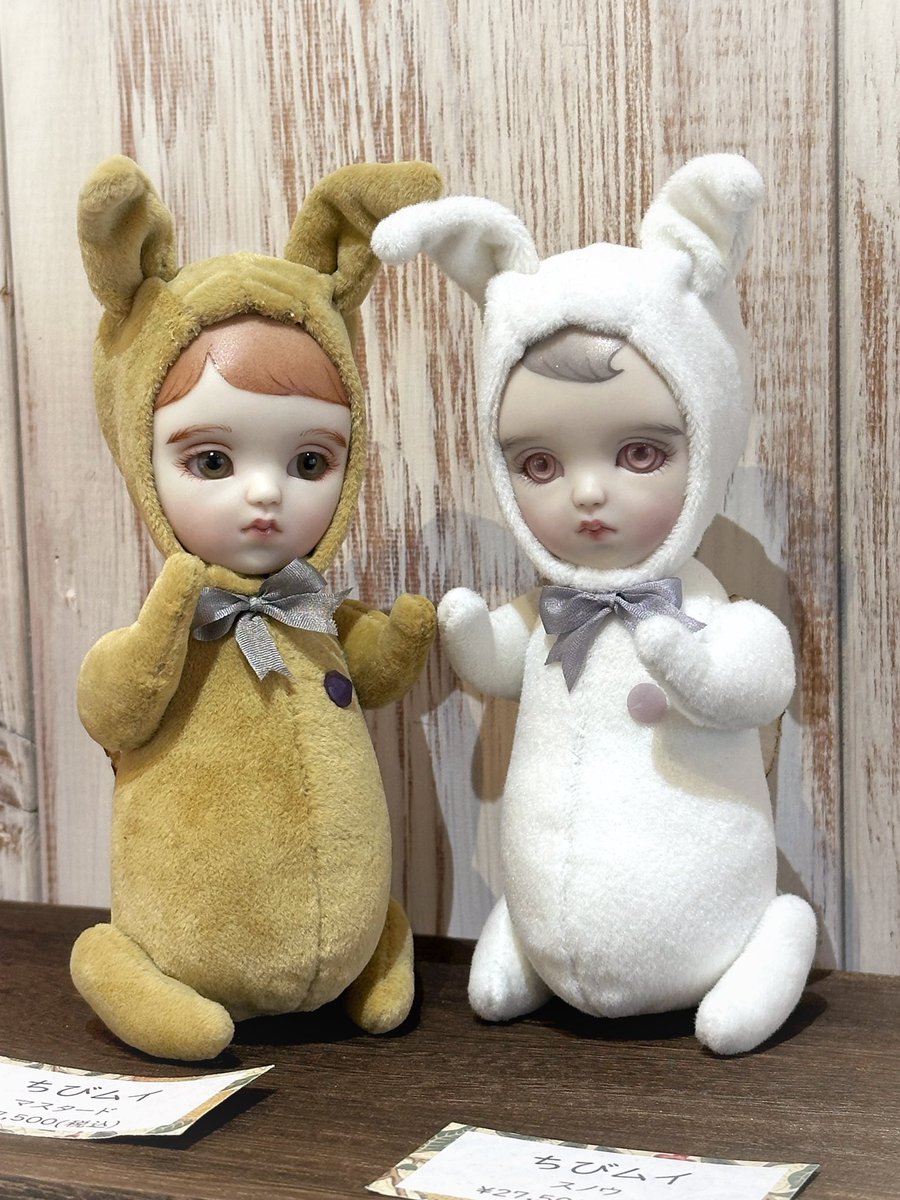 個展5日目
2匹のちびムイちゃんがまだお家探してますよぉ〜✨