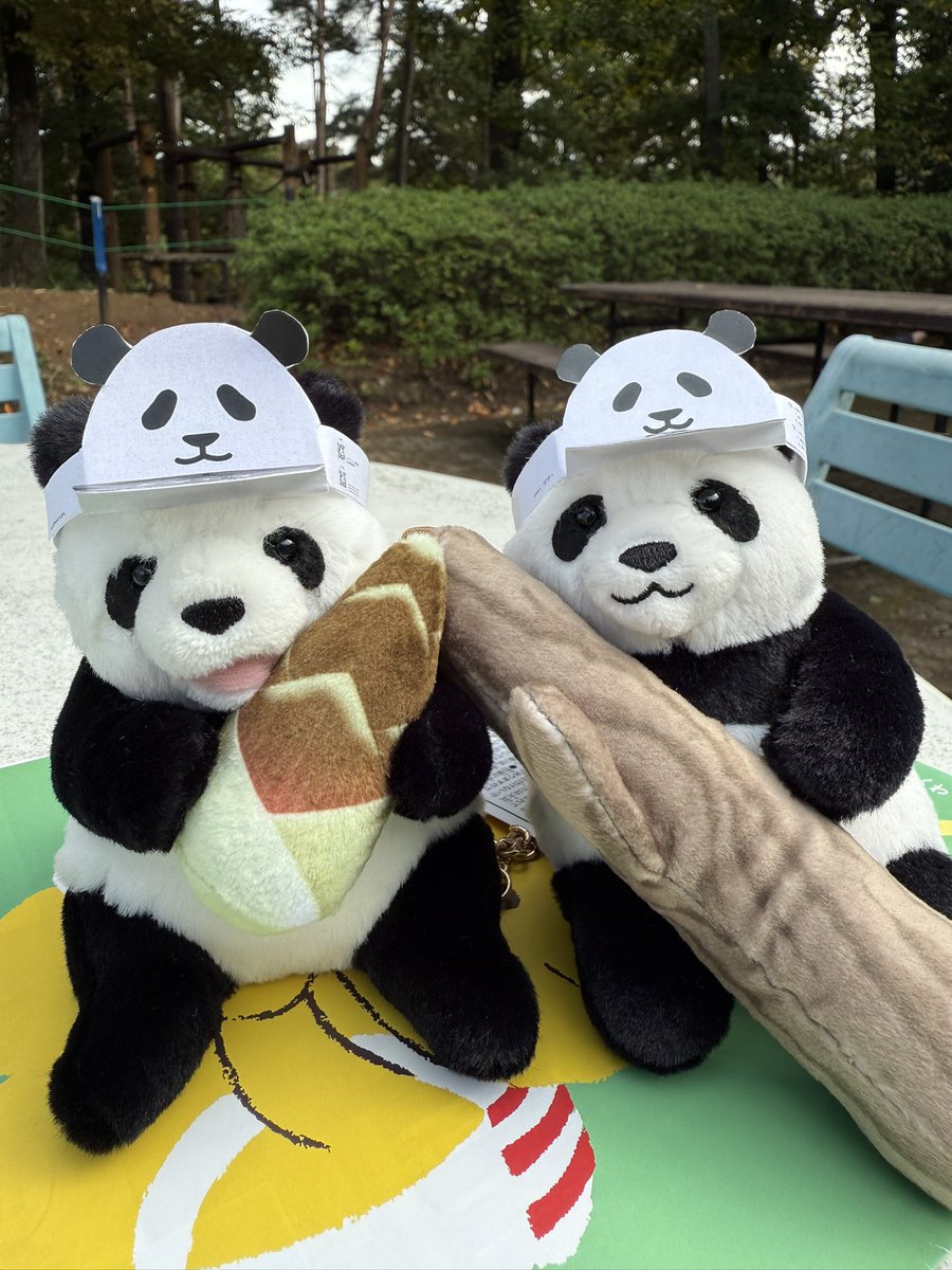 パンダさん えつこ・ゼタ on X